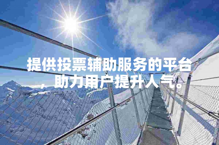 提供投票辅助服务的平台，助力用户提升人气。