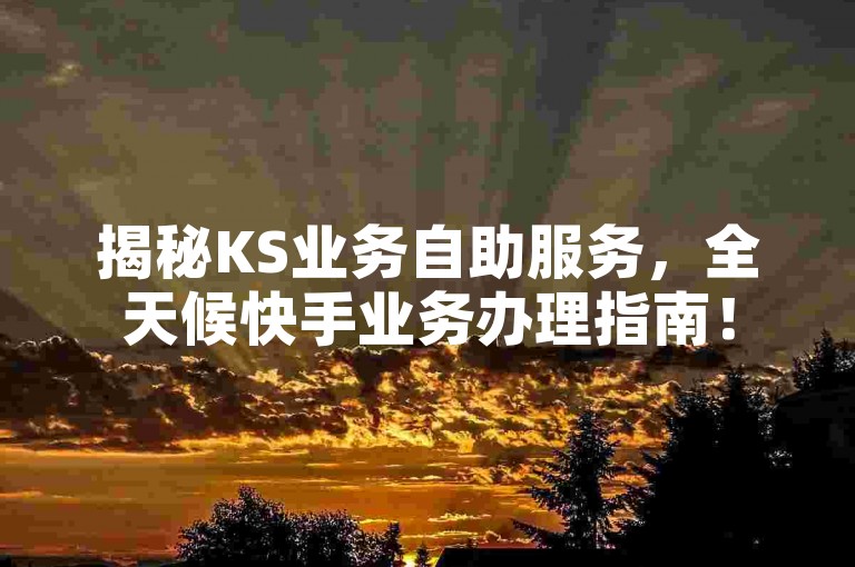 揭秘KS业务自助服务，全天候快手业务办理指南！