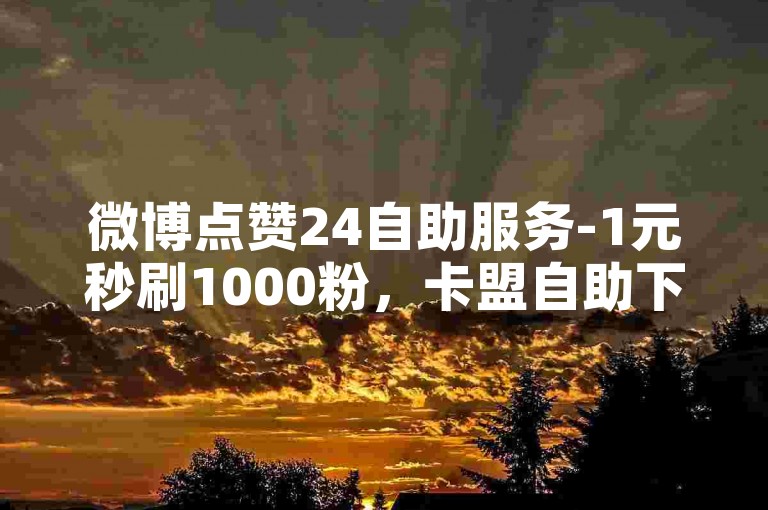 微博点赞24自助服务-1元秒刷1000粉，卡盟自助下单24小时。