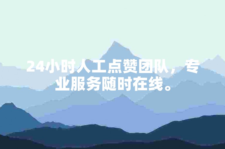 24小时人工点赞团队，专业服务随时在线。