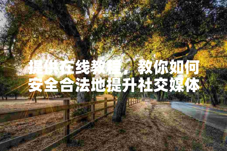提供在线教程，教你如何安全合法地提升社交媒体影响力。