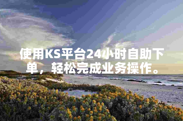 使用KS平台24小时自助下单，轻松完成业务操作。
