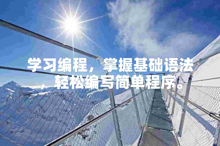 学习编程，掌握基础语法，轻松编写简单程序。