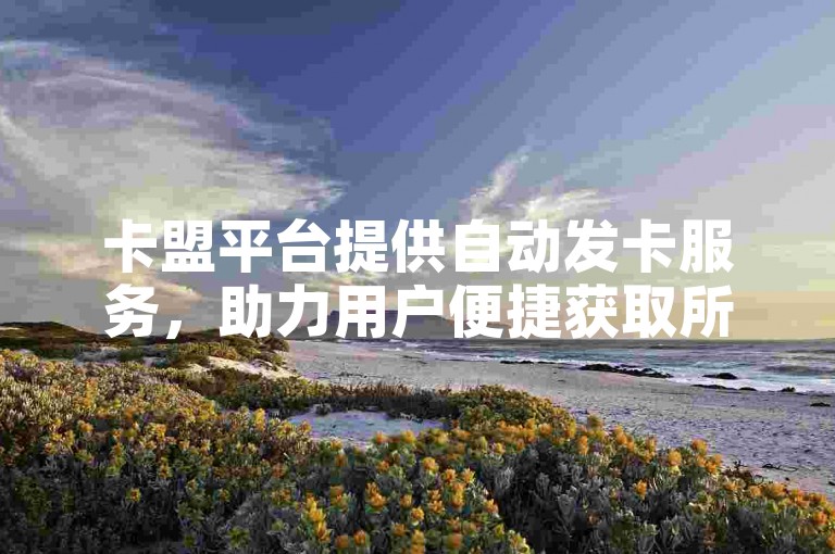 卡盟平台提供自动发卡服务，助力用户便捷获取所需资源。