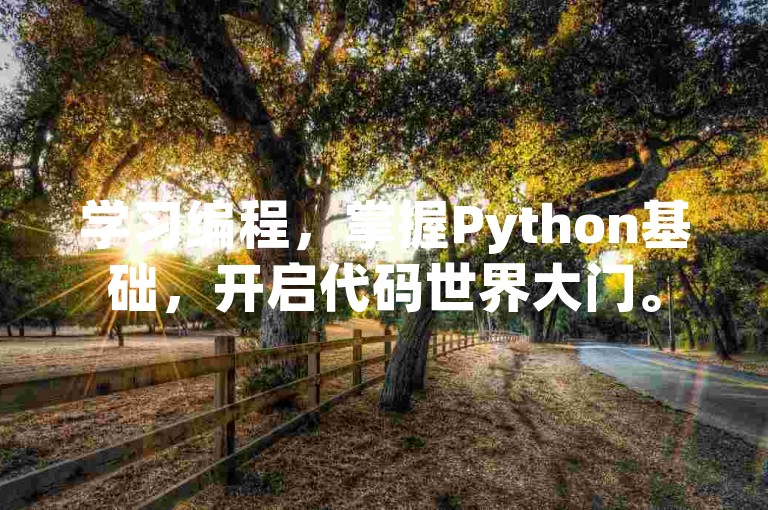 学习编程，掌握Python基础，开启代码世界大门。