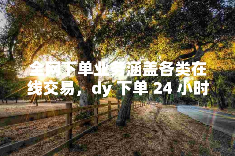 全网下单业务涵盖各类在线交易，dy 下单 24 小时有低价优惠。