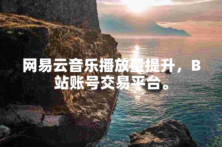 网易云音乐播放量提升，B站账号交易平台。