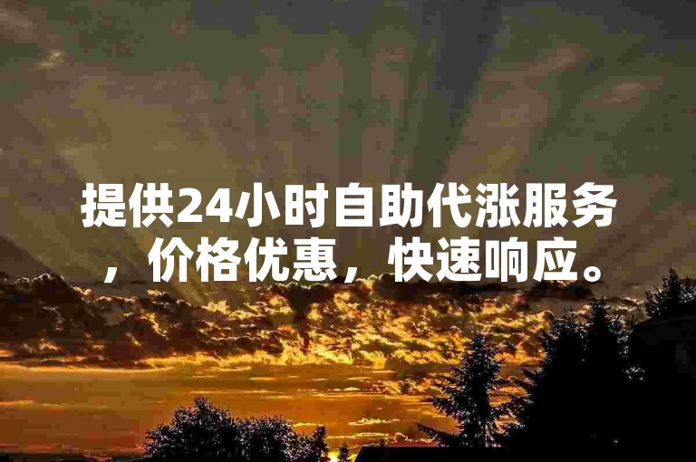 提供24小时自助代涨服务，价格优惠，快速响应。