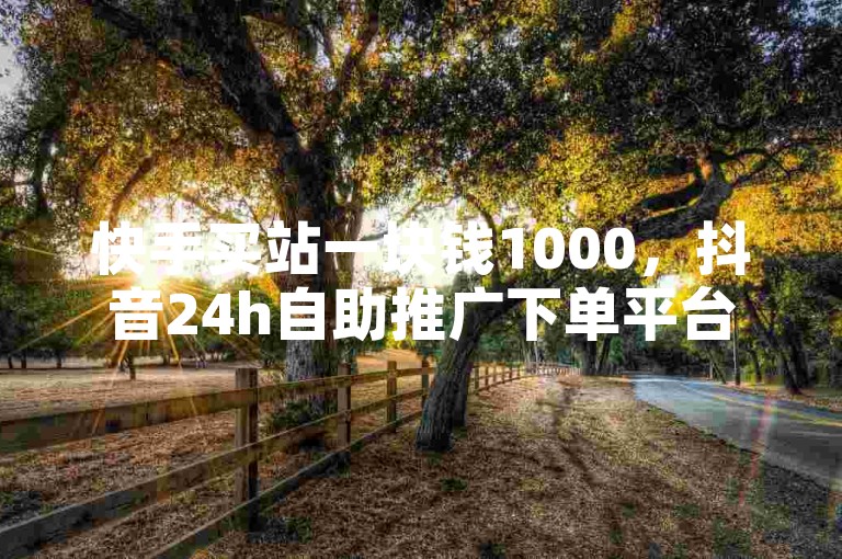 快手买站一块钱1000，抖音24h自助推广下单平台。