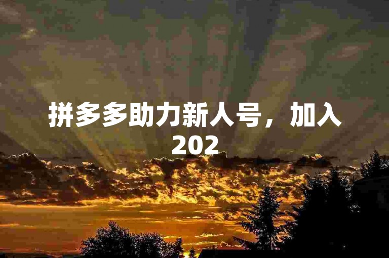 拼多多助力新人号，加入2025免费互助微信群。