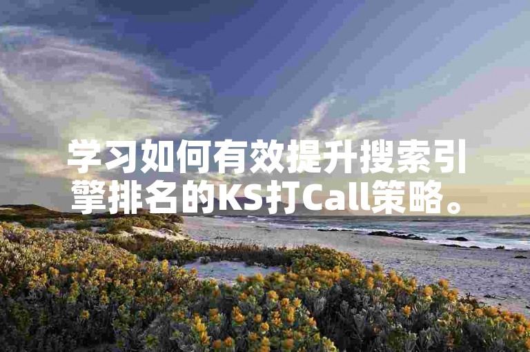 学习如何有效提升搜索引擎排名的KS打Call策略。