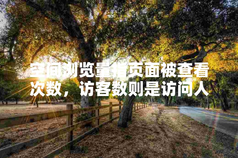 空间浏览量指页面被查看次数，访客数则是访问人数。