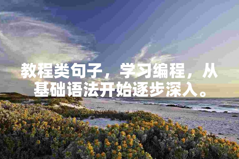 教程类句子，学习编程，从基础语法开始逐步深入。