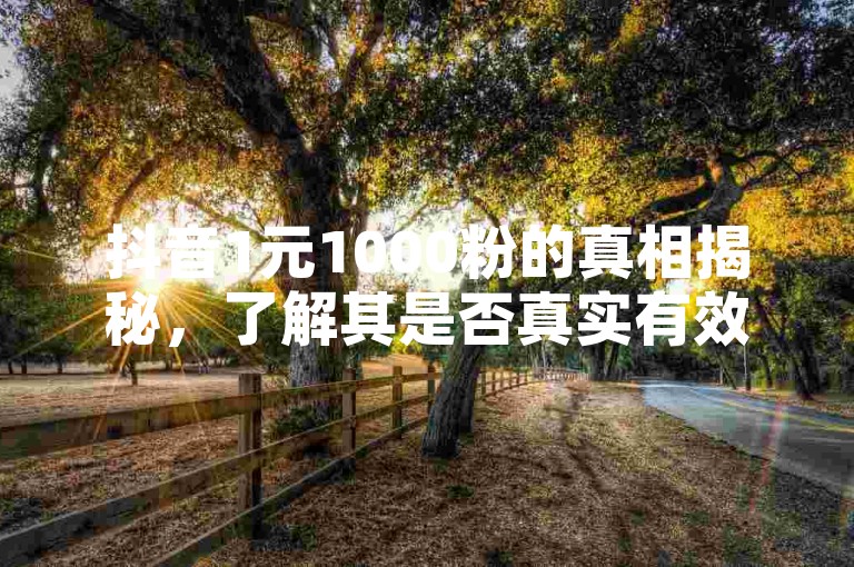 抖音1元1000粉的真相揭秘，了解其是否真实有效。