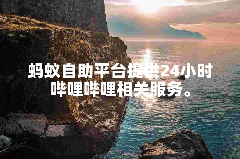 蚂蚁自助平台提供24小时哔哩哔哩相关服务。