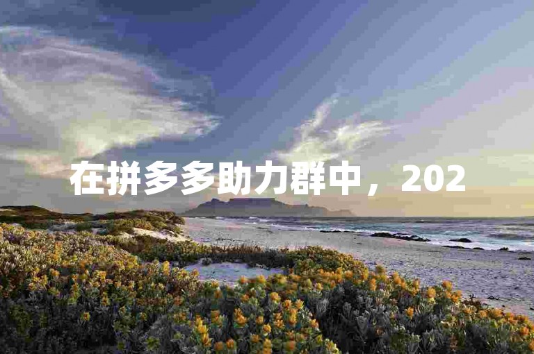 在拼多多助力群中，2025年可免费参与砍价活动。