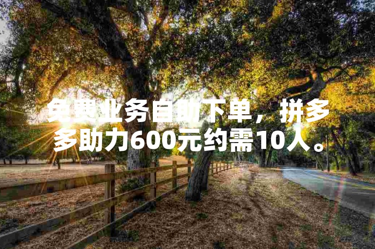 免费业务自助下单，拼多多助力600元约需10人。