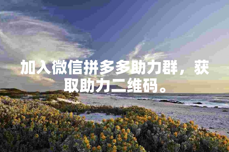 加入微信拼多多助力群，获取助力二维码。
