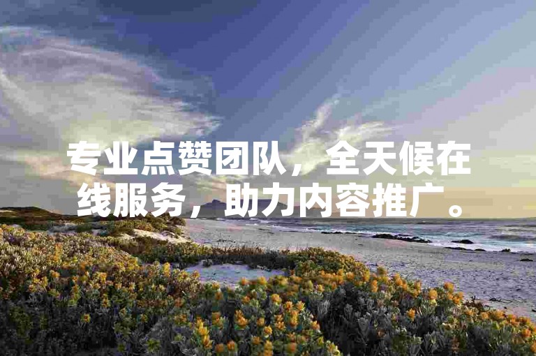 专业点赞团队，全天候在线服务，助力内容推广。