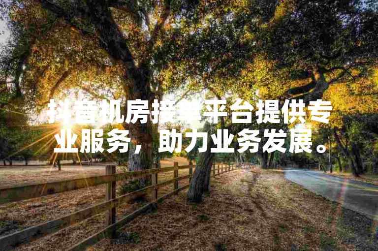 抖音机房接单平台提供专业服务，助力业务发展。
