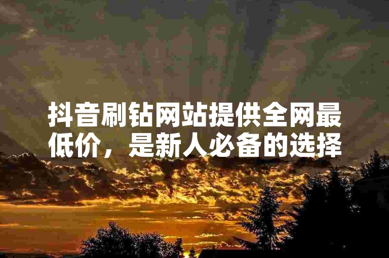 抖音刷钻网站提供全网最低价，是新人必备的选择！