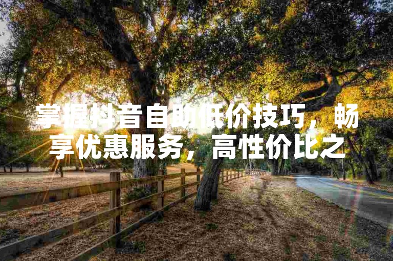 掌握抖音自助低价技巧，畅享优惠服务，高性价比之选。