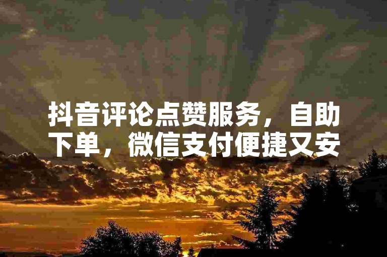 抖音评论点赞服务，自助下单，微信支付便捷又安全。