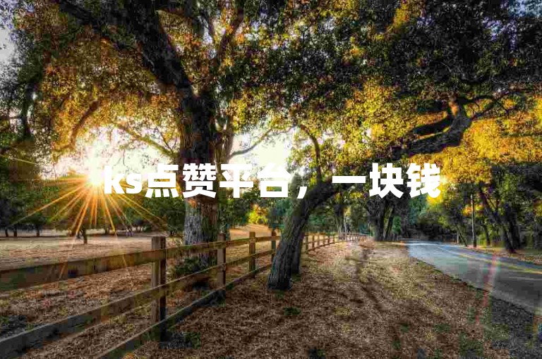 ks点赞平台，一块钱500赞，自助下单，24小时服务。