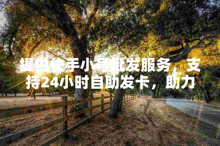 提供快手小号批发服务，支持24小时自助发卡，助力快手APP使用。