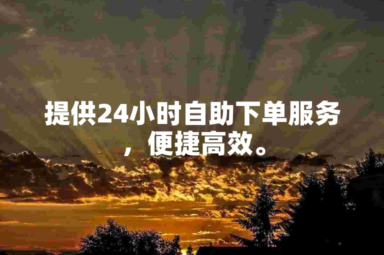 提供24小时自助下单服务，便捷高效。