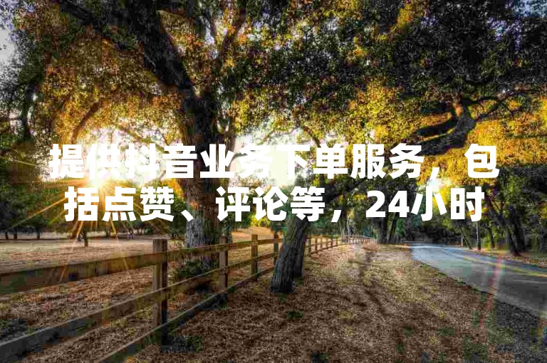 提供抖音业务下单服务，包括点赞、评论等，24小时低价。