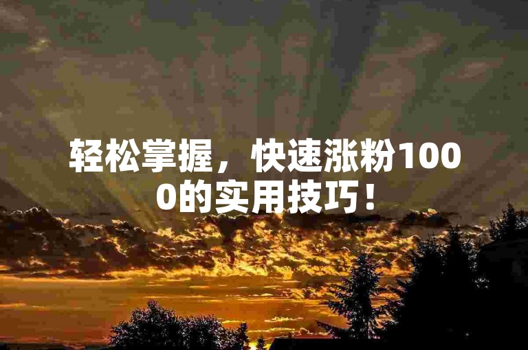 轻松掌握，快速涨粉1000的实用技巧！