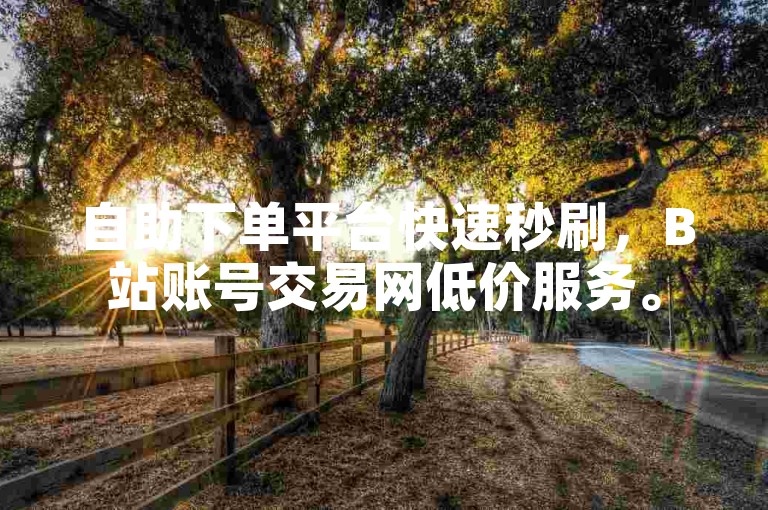 自助下单平台快速秒刷，B站账号交易网低价服务。