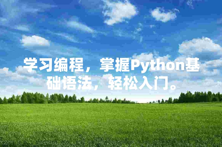 学习编程，掌握Python基础语法，轻松入门。