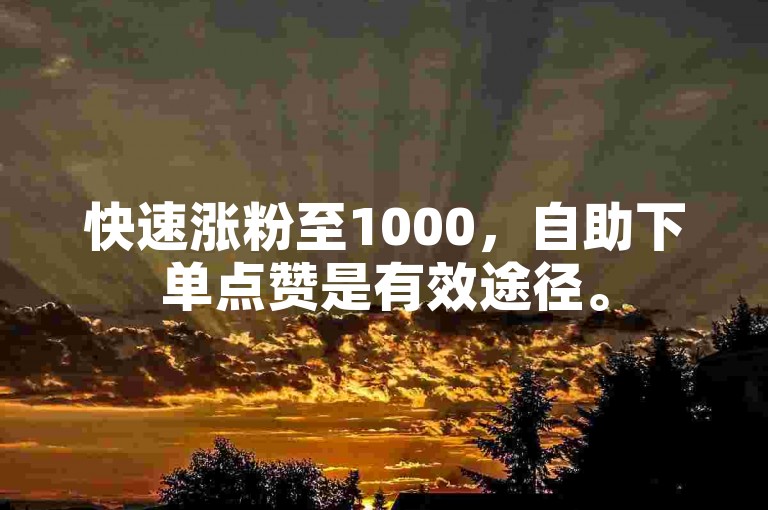 快速涨粉至1000，自助下单点赞是有效途径。