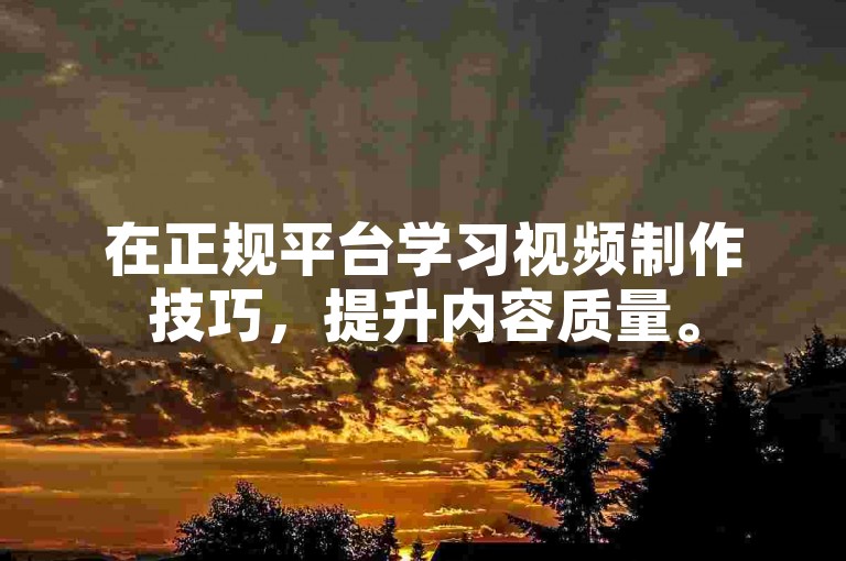 在正规平台学习视频制作技巧，提升内容质量。