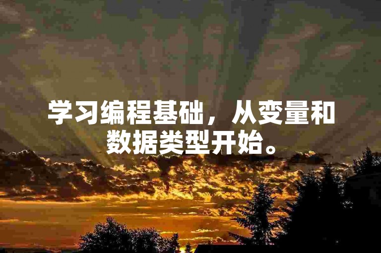 学习编程基础，从变量和数据类型开始。