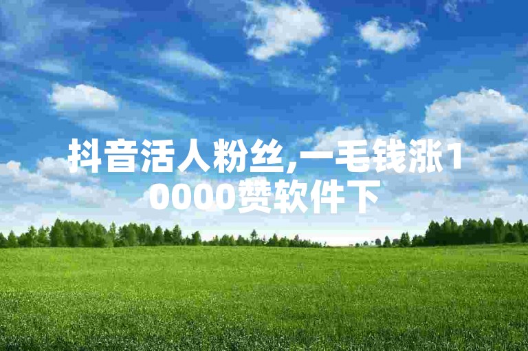 抖音活人粉丝,一毛钱涨10000赞软件下