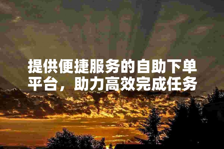 提供便捷服务的自助下单平台，助力高效完成任务。