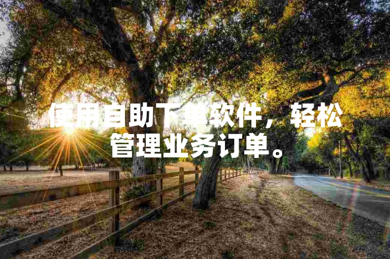 使用自助下单软件，轻松管理业务订单。