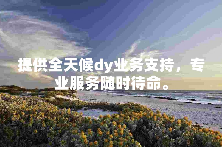 提供全天候dy业务支持，专业服务随时待命。