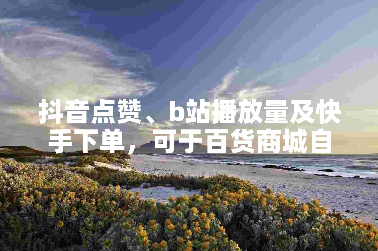 抖音点赞、b站播放量及快手下单，可于百货商城自助操作。