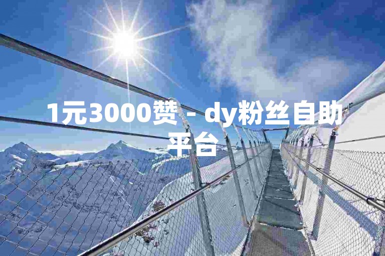 1元3000赞 - dy粉丝自助平台