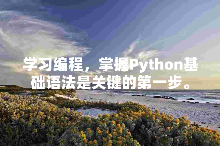 学习编程，掌握Python基础语法是关键的第一步。