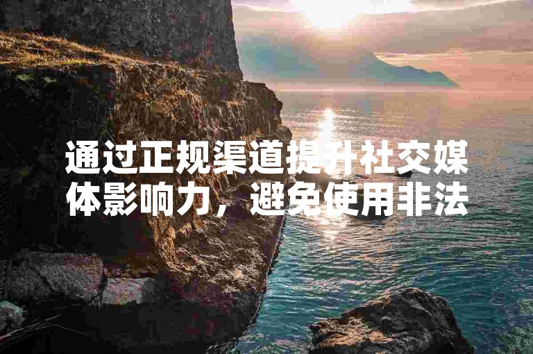 通过正规渠道提升社交媒体影响力，避免使用非法软件。