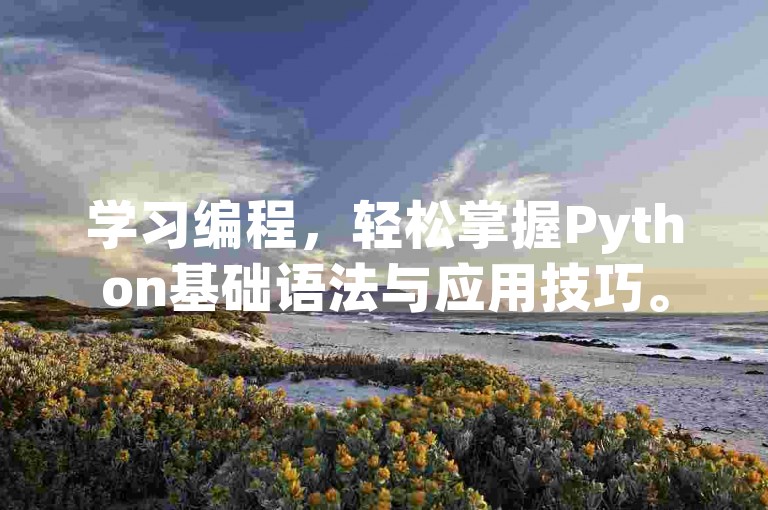 学习编程，轻松掌握Python基础语法与应用技巧。