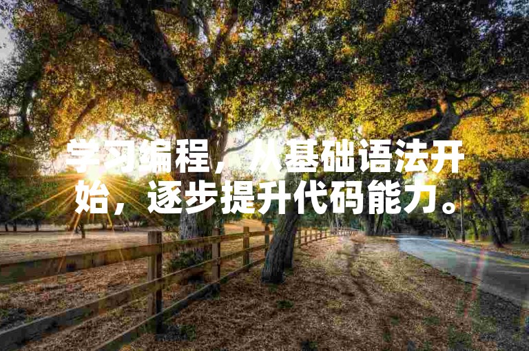 学习编程，从基础语法开始，逐步提升代码能力。