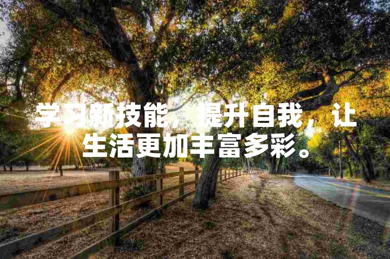 学习新技能，提升自我，让生活更加丰富多彩。