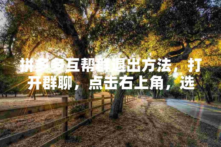拼多多互帮群退出方法，打开群聊，点击右上角，选择退出群聊。