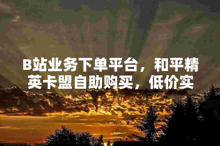 B站业务下单平台，和平精英卡盟自助购买，低价实惠。